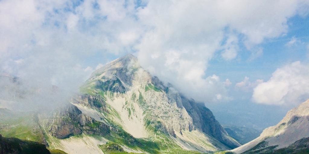 Primavera: tecniche di purificazione Yoga